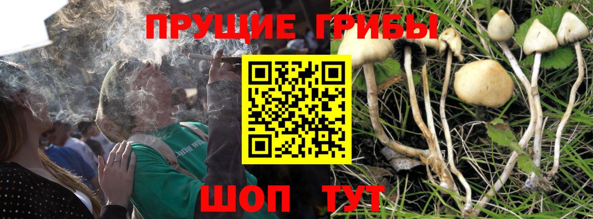 Галлюциногенные грибы мицелий Жуковский