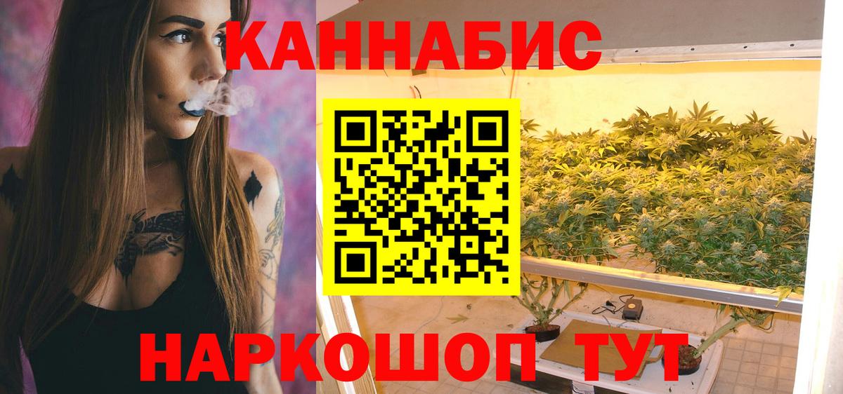 Шишки марихуана планчик Жуковский